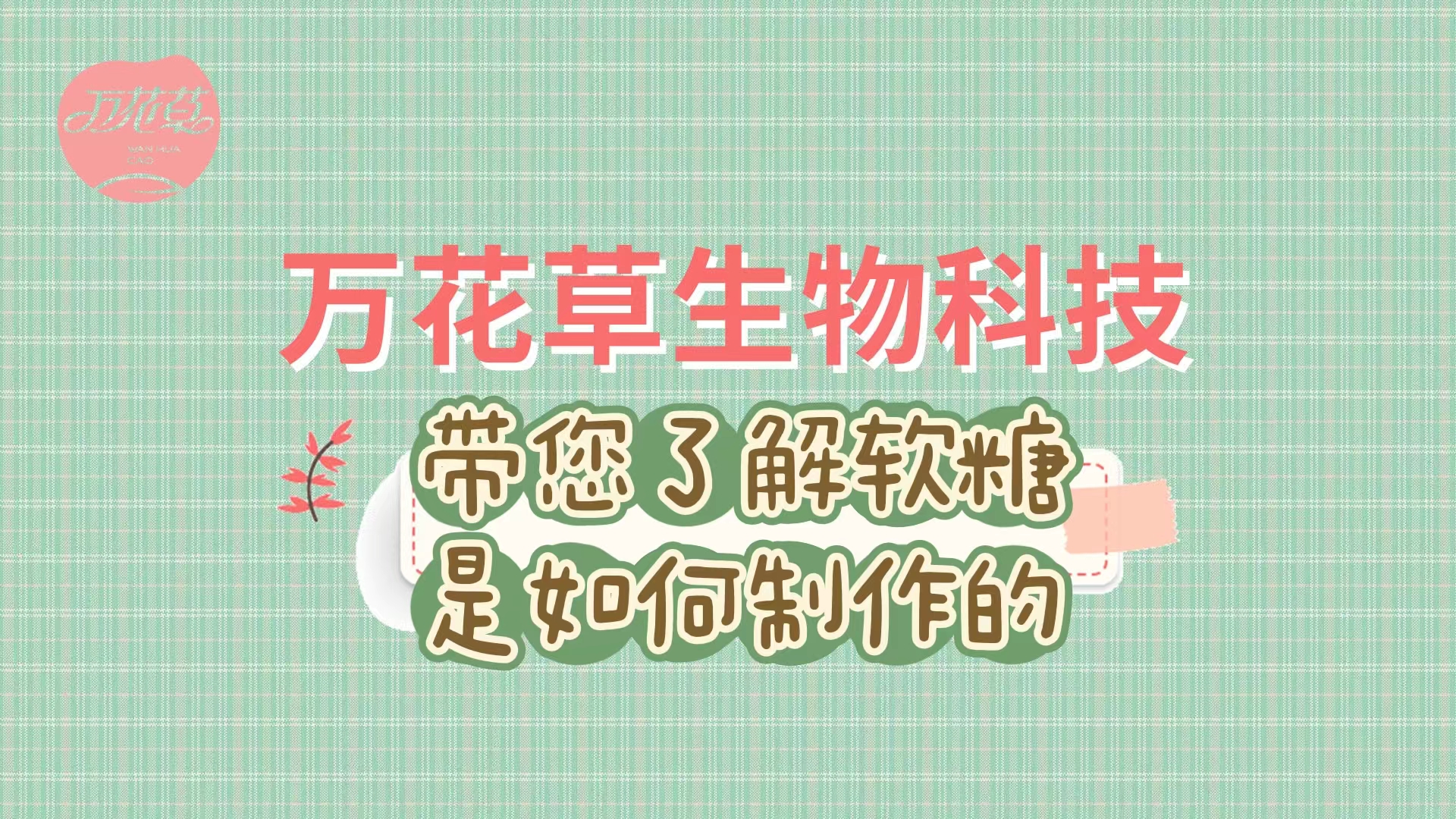 軟糖代加工生產(chǎn)工藝流程，帶您了解糖果是如何制作的