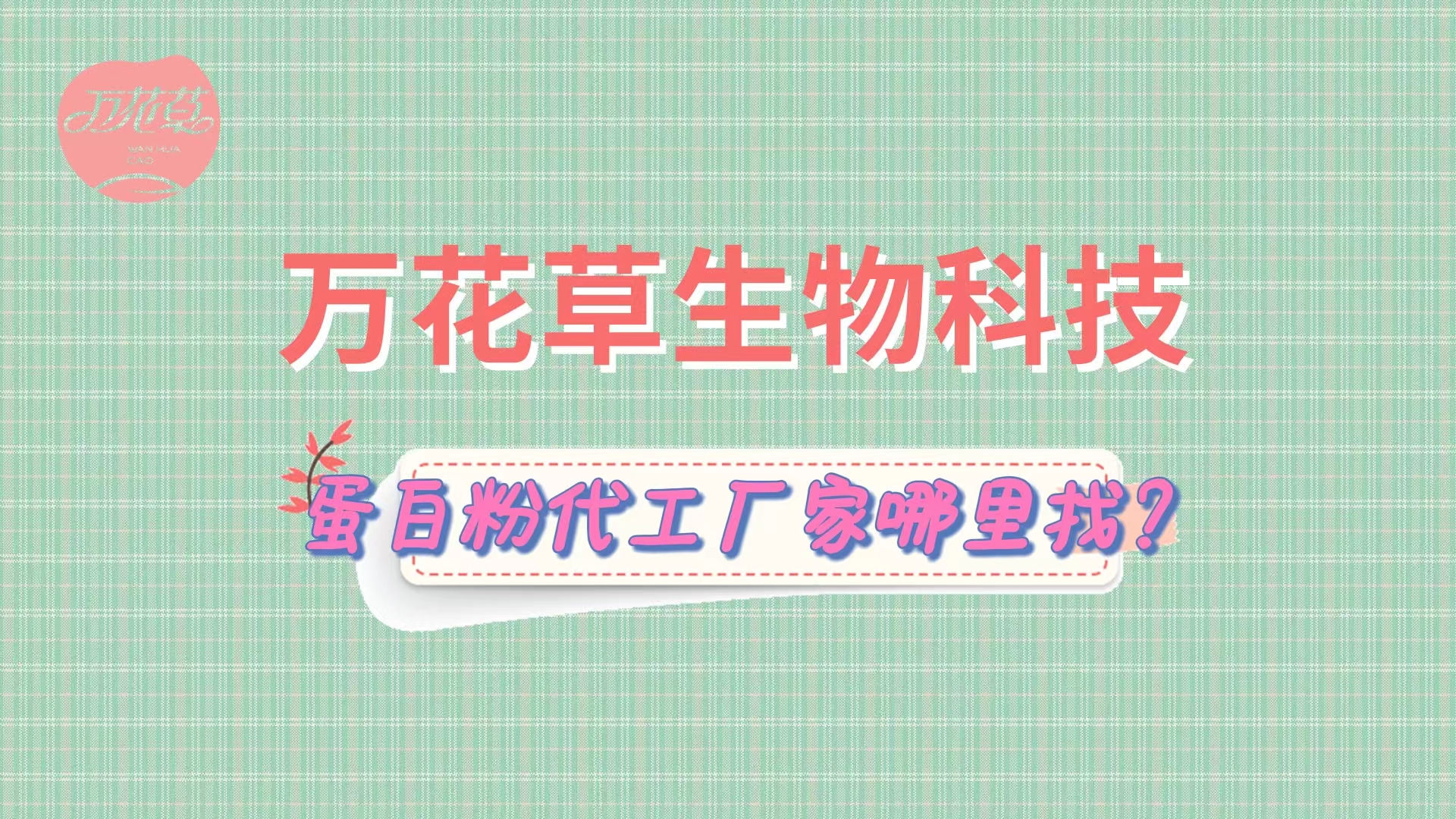 蛋白粉代加工，怎么找專業(yè)源頭廠家？