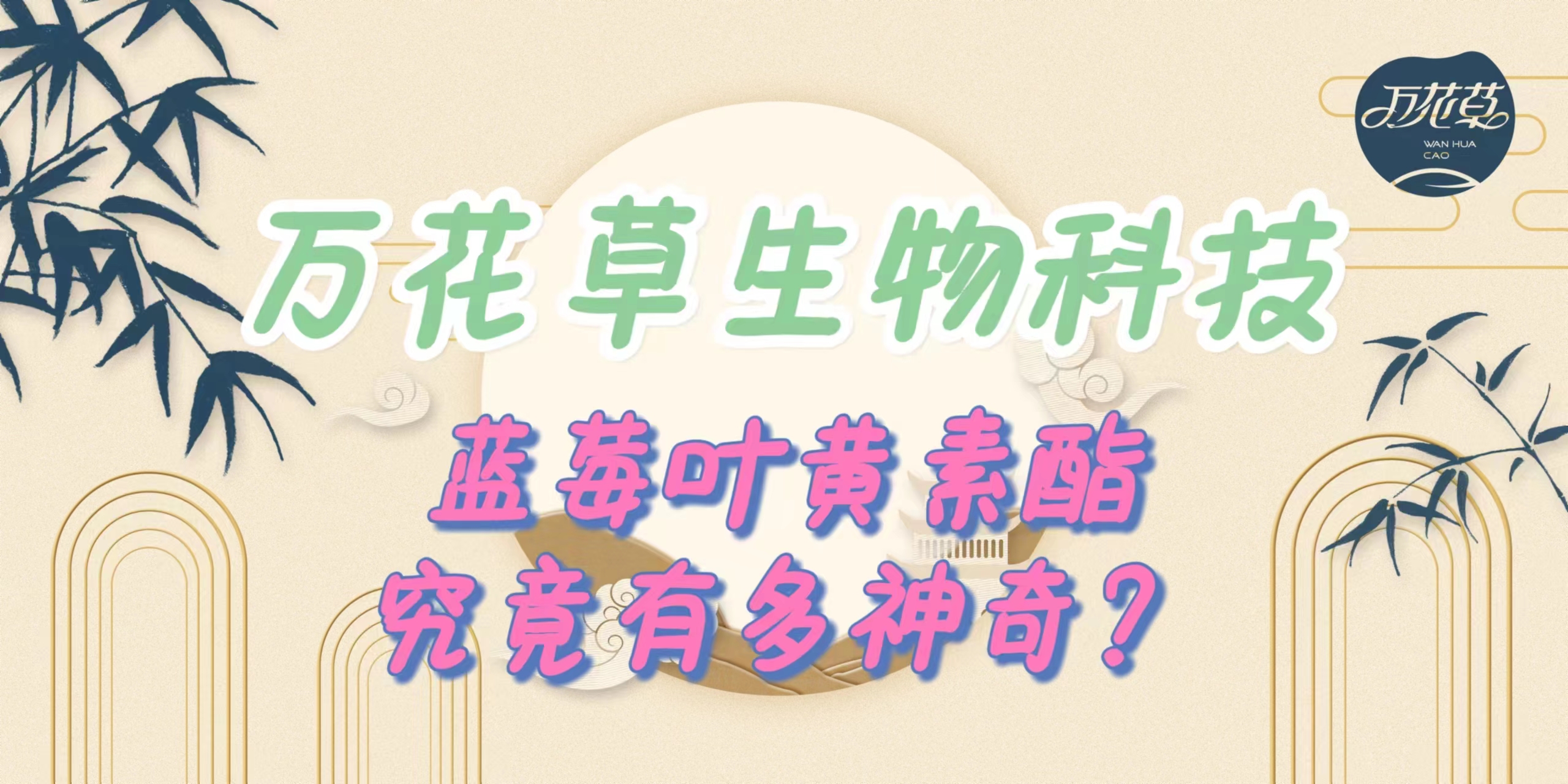 升級配方，重磅出擊，萬花草藍(lán)莓葉黃素酯究竟有多神奇？