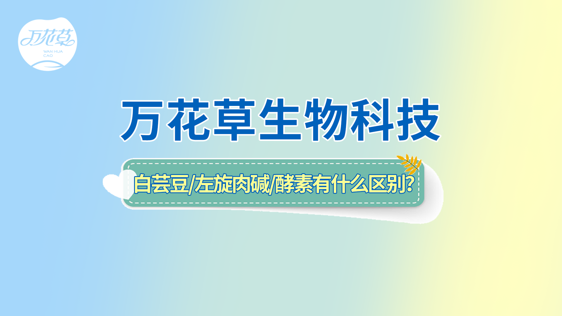 白蕓豆、左旋肉堿、嗨吃酵素有什么區(qū)別？